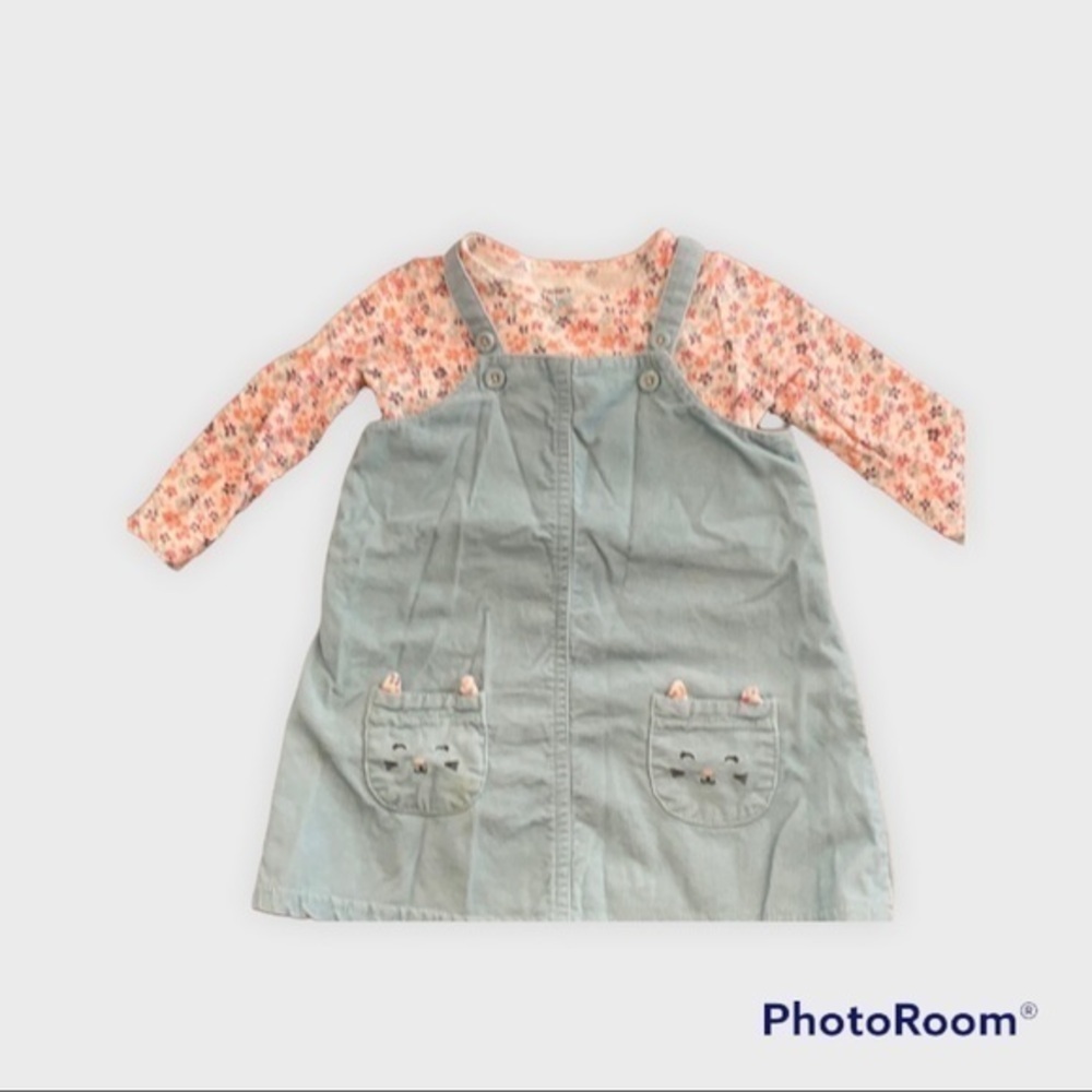 Carter’s Light blue and flower jumper outfit 009
